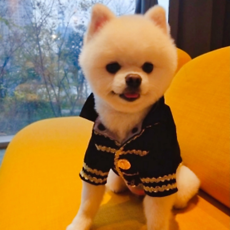 ペット服 犬服 犬の服 タキシード 猫犬服 王子風 礼服 王子様 プリンス