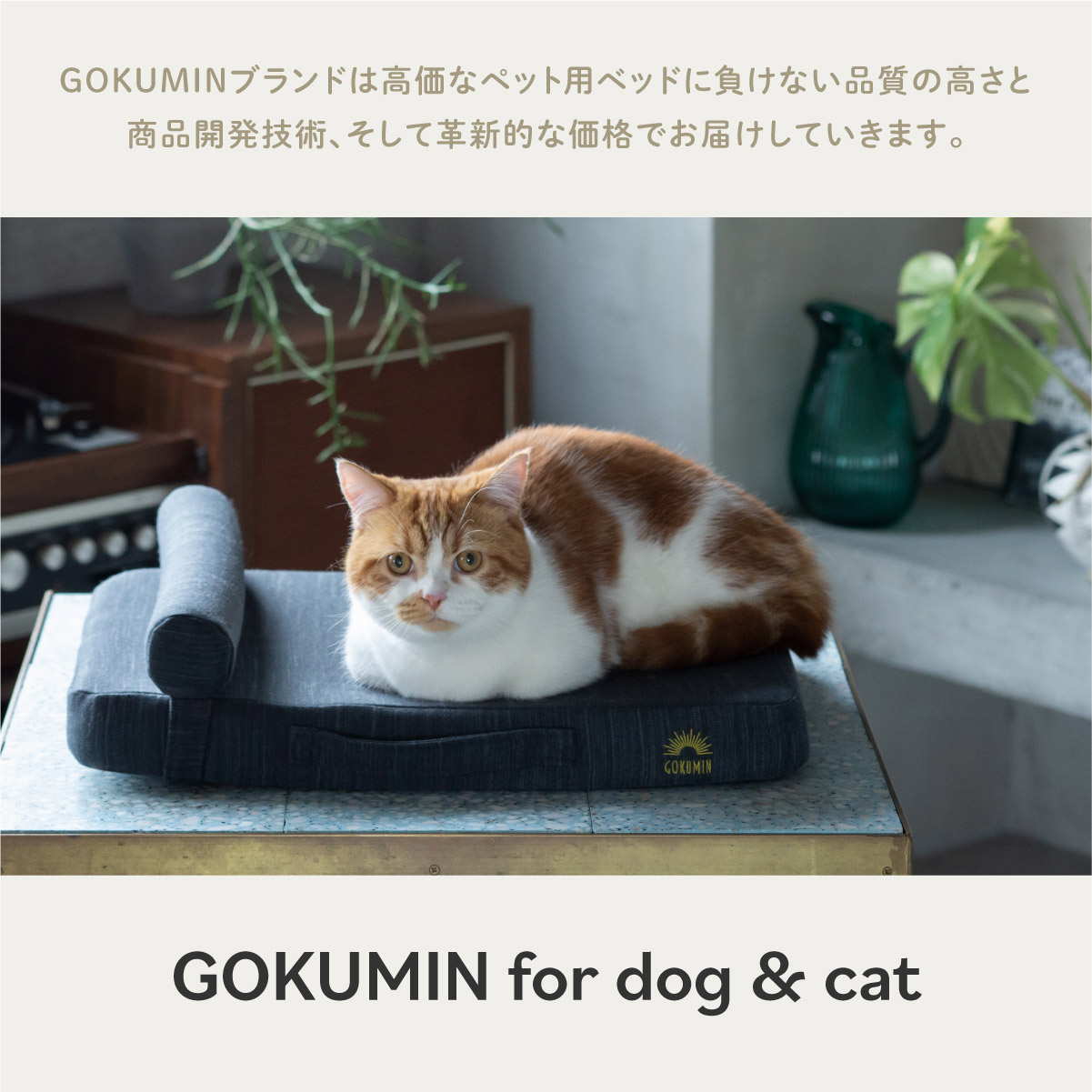 Amazon.co.jp: GOKUMIN Pet Dog Bed, Cat Bed, Washable